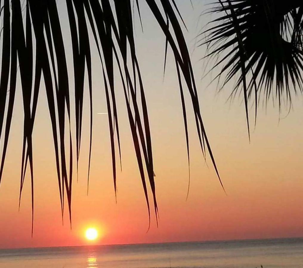The Palms Resort-Oceanfront Myrtle Beach Eksteriør bilde