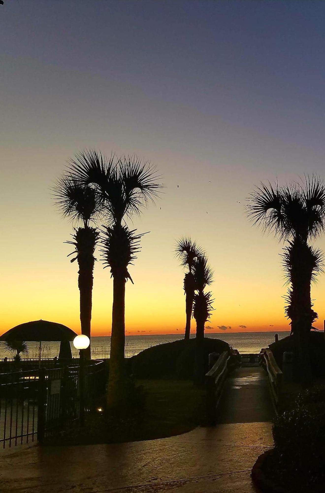 The Palms Resort-Oceanfront Myrtle Beach Eksteriør bilde